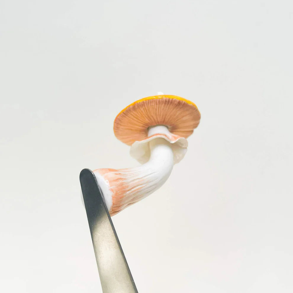 Red Orange Gradient Mushroom