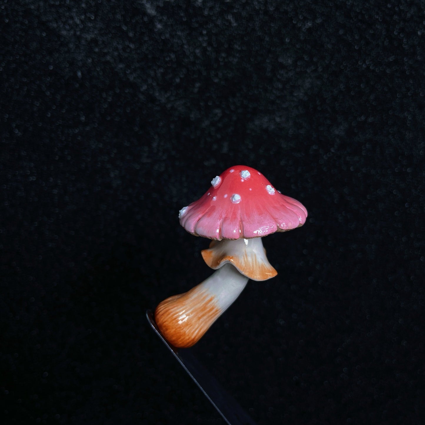 Rainbow Mushroom