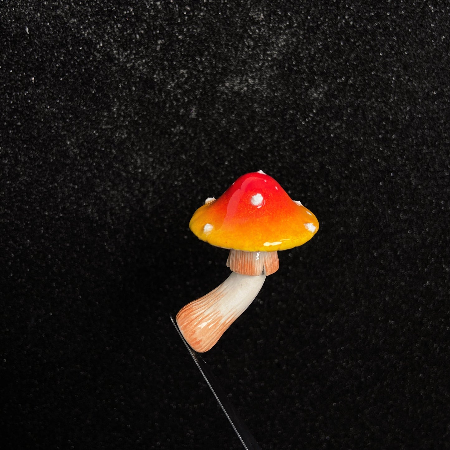 Rainbow Mushroom