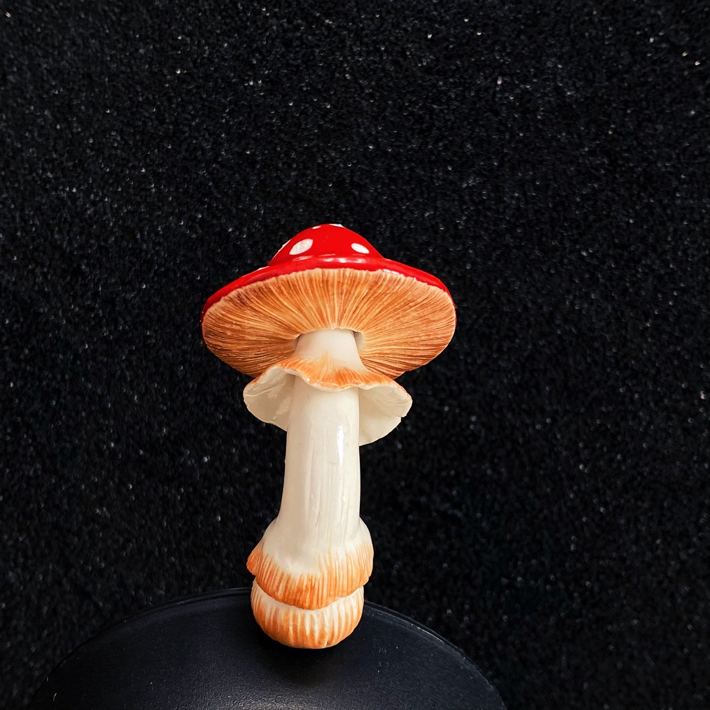 Amanita