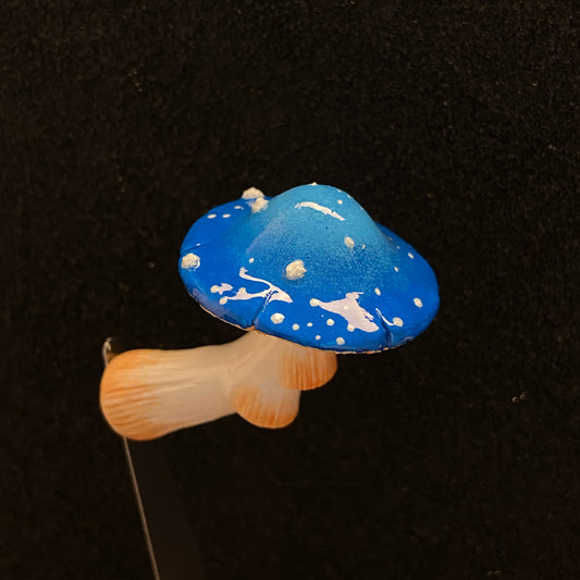 Blue Mushroom