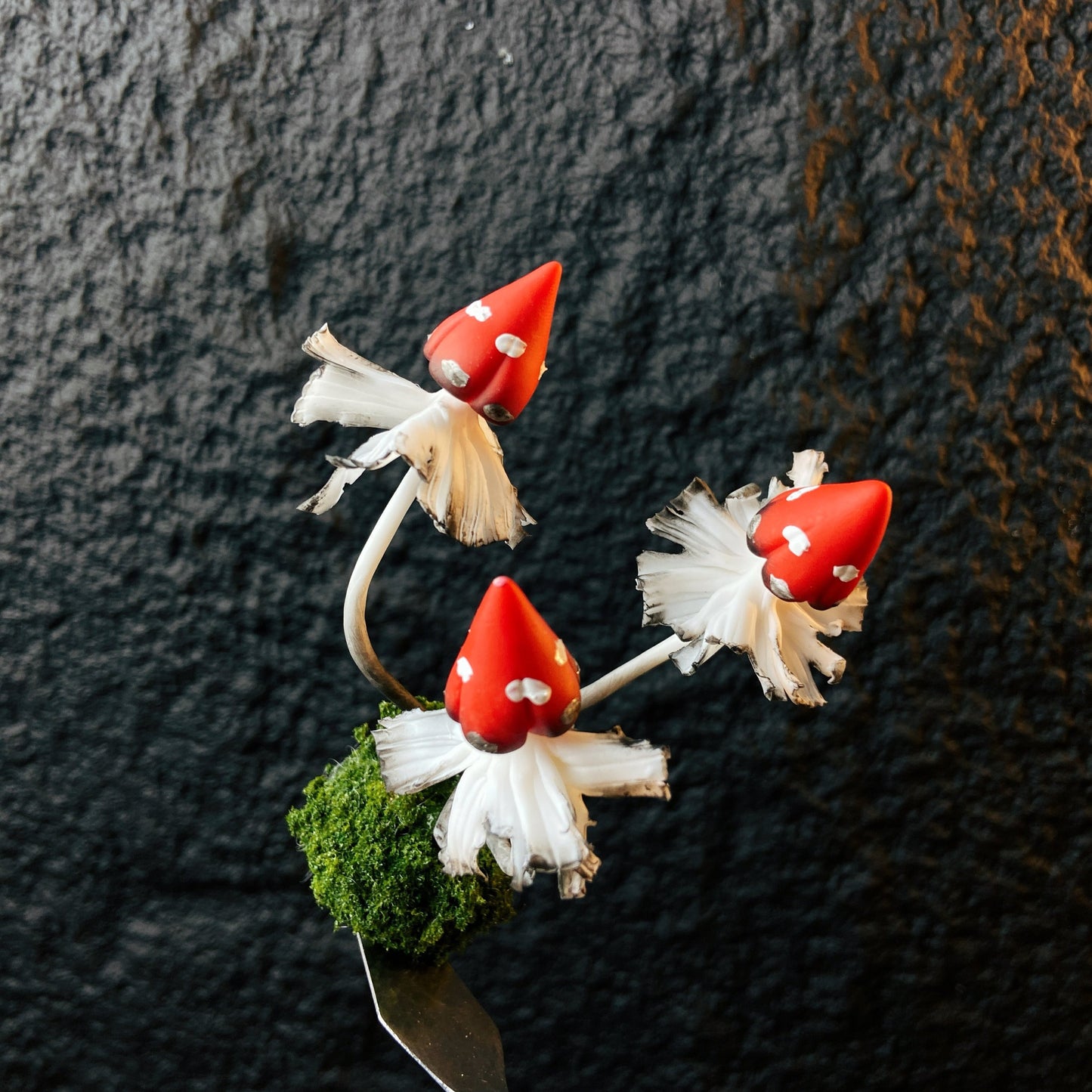 Red bullet mushroom