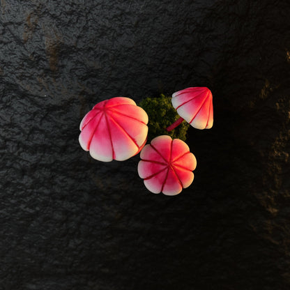 Rose gradient umbrella mushroom