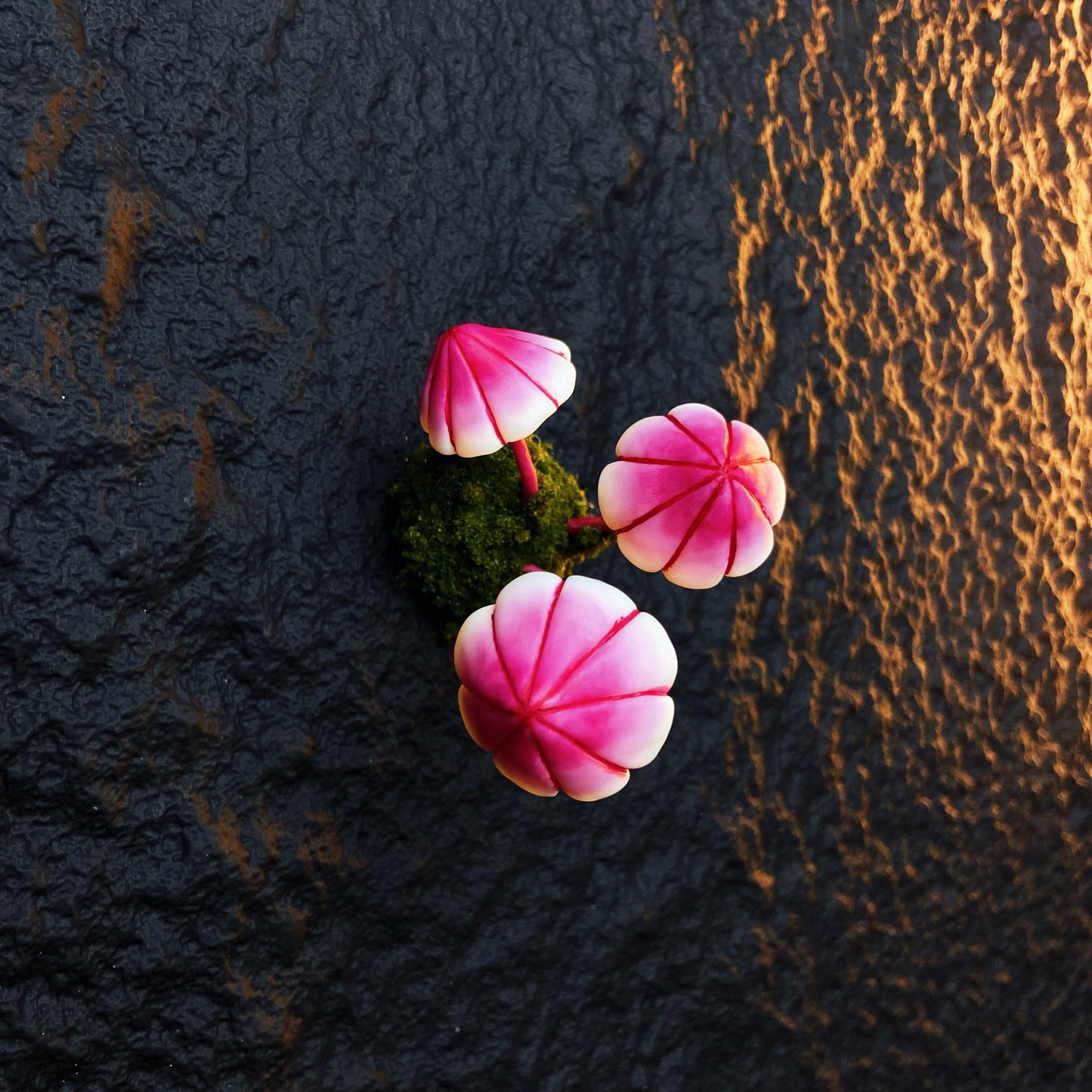 Rose gradient umbrella mushroom