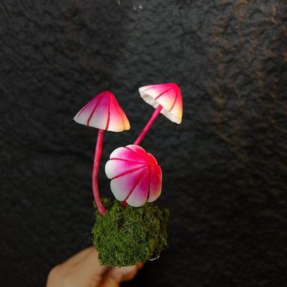 Rose gradient umbrella mushroom