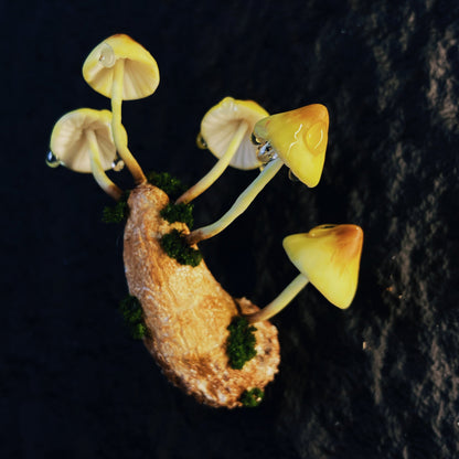 【Renata】mushroom Refrigerator sticker hook